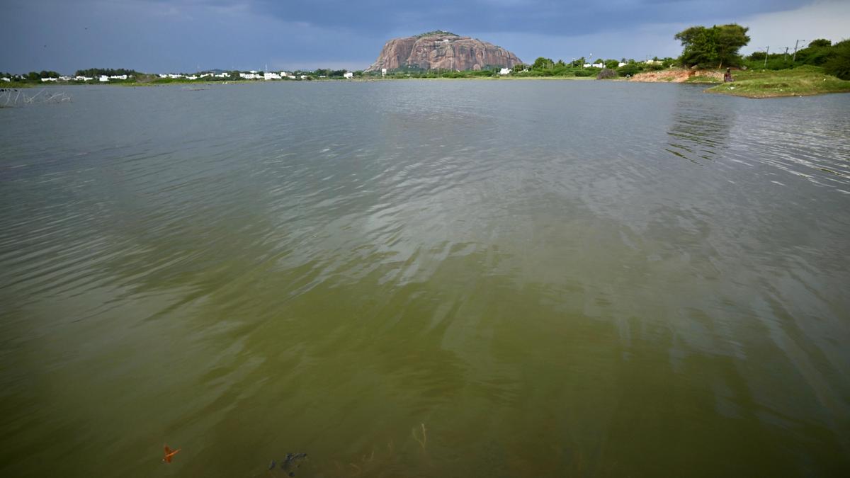 Role of Rotary Clubs in rejuvenating waterbodies in Madurai comes in for appreciation