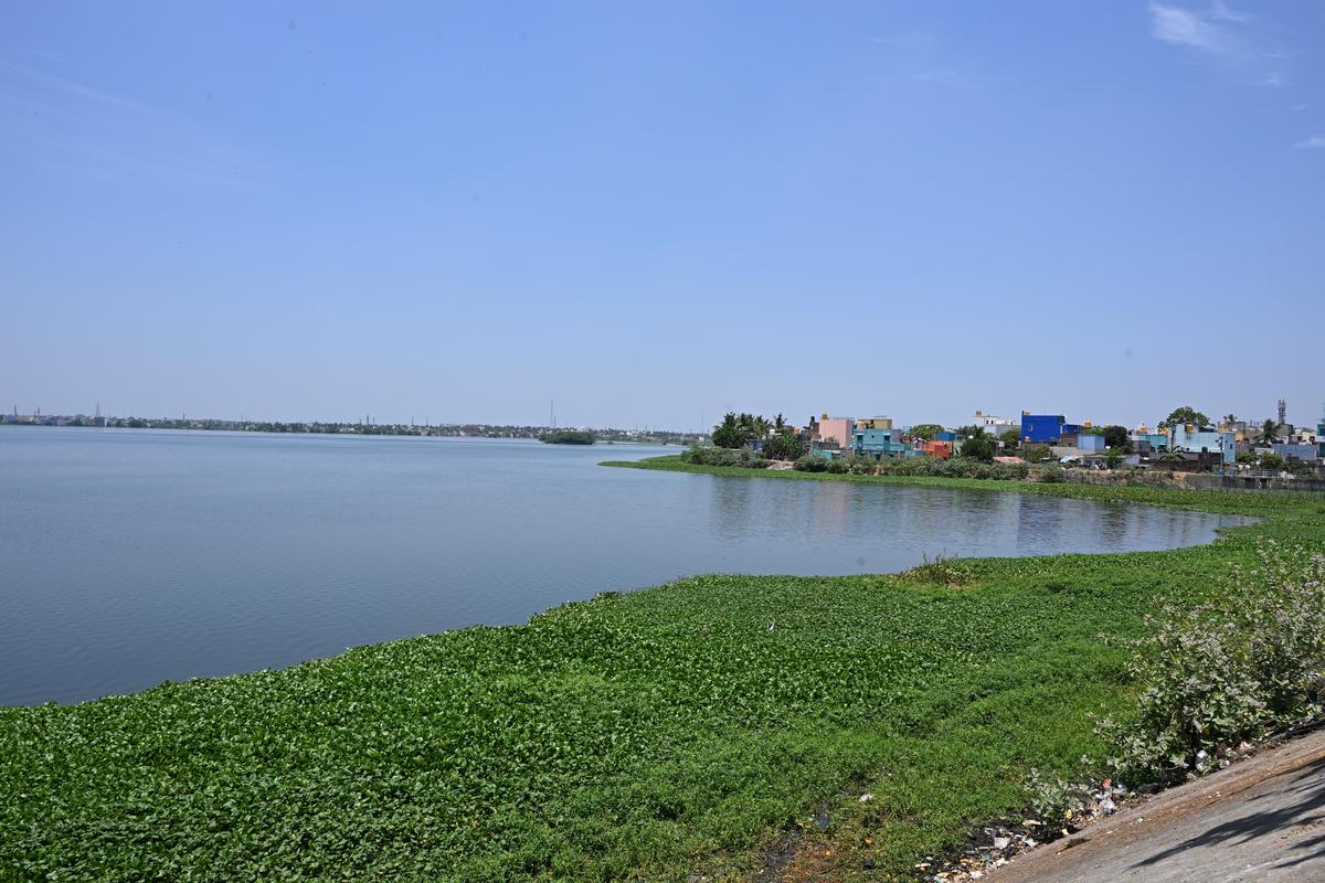 T.N. Assembly election: Concerned over stalled growth, Ambattur constituency residents demand GH, sewer network, wider roads