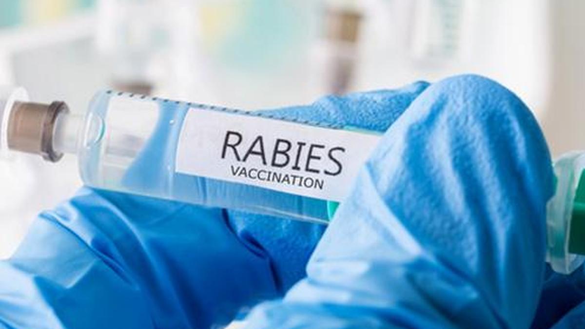FIR filed against hospital superintendent and doctors in child’s rabies death
