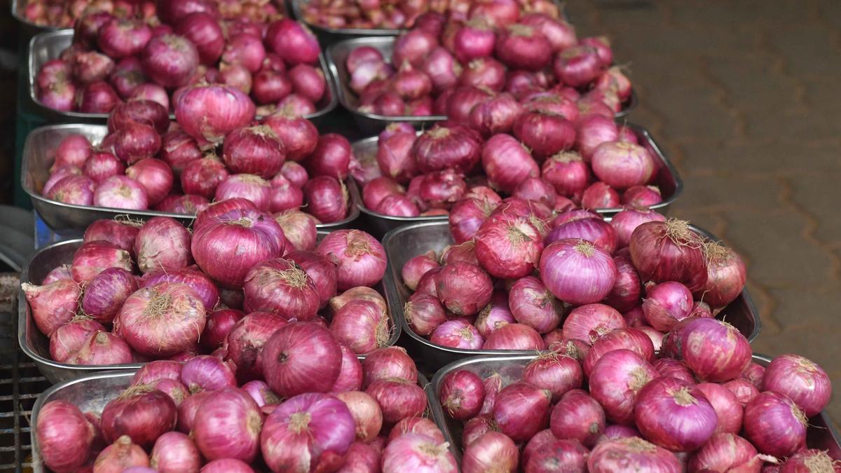 Centre sends train with 1,600 tonnes onions to Delhi to ease prices