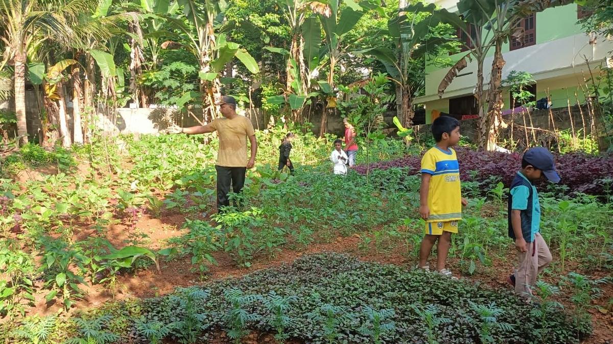 A residents’ association in Thiruvananthapuram converts vacant plots to agricultural land to win State Farm Awards 2023