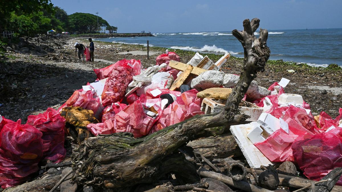 Month-long Fort Kochi beach cleaning campaign launched