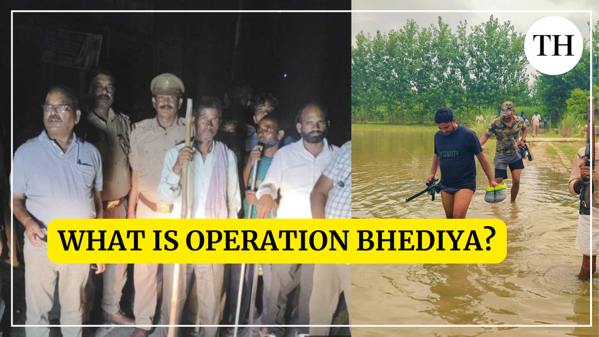 Watch: What is Operation Bhediya?