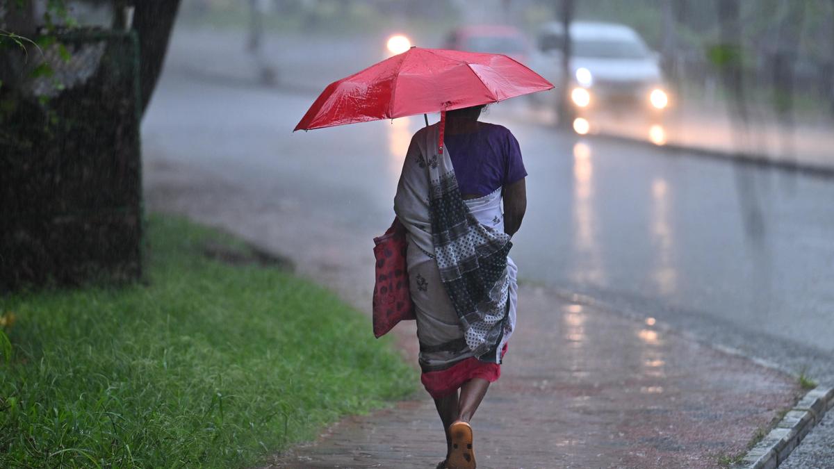 Cyclone Montha: IMD forecasts widespread rainfall in Karnataka till October 30