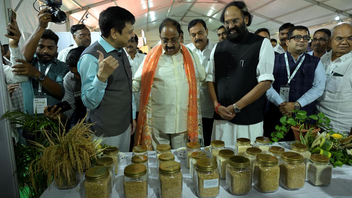 Global Rice Summit kicks off in Hyderabad 