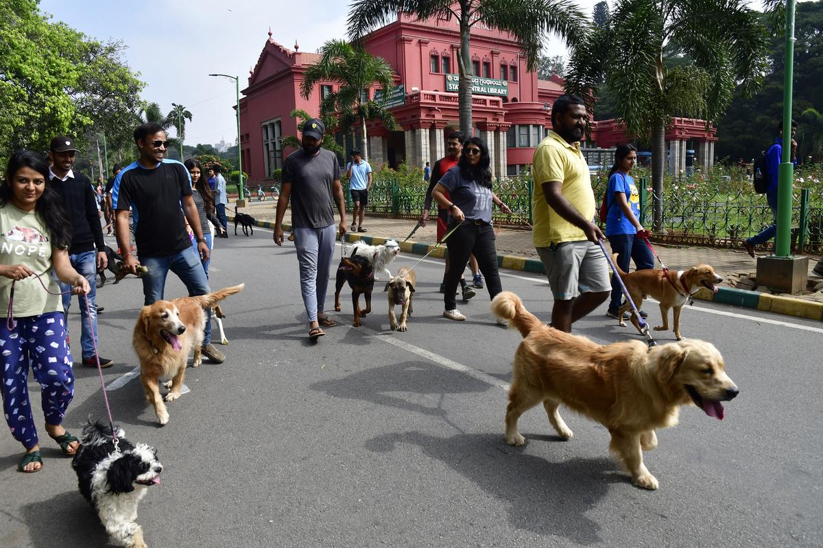 For decades, Bengaluru has revelled in its status as the Garden City, but of late, its parks and gardens have become objects of contention as different groups want to claim ownership. For decades, Bengaluru has revelled in its status as the Garden City, but of late, its parks and gardens have become objects of contention as different groups want to claim ownership.