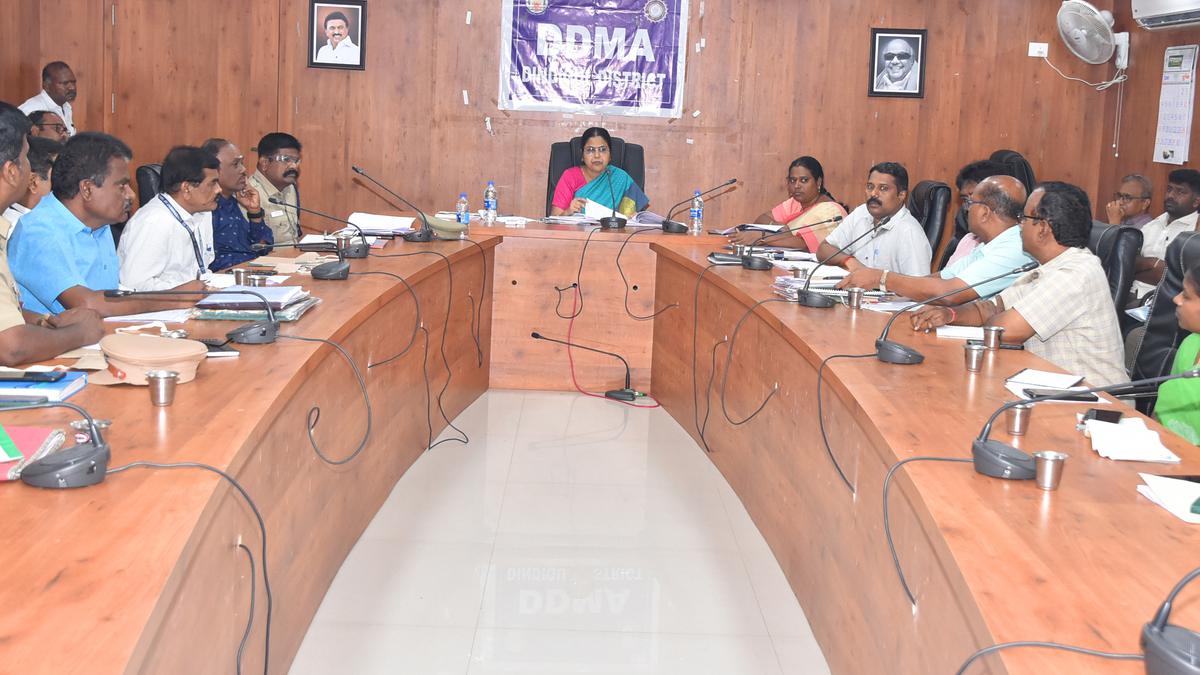 Collector chairs meeting on preparedness for southwest monsoon in Dindigul district