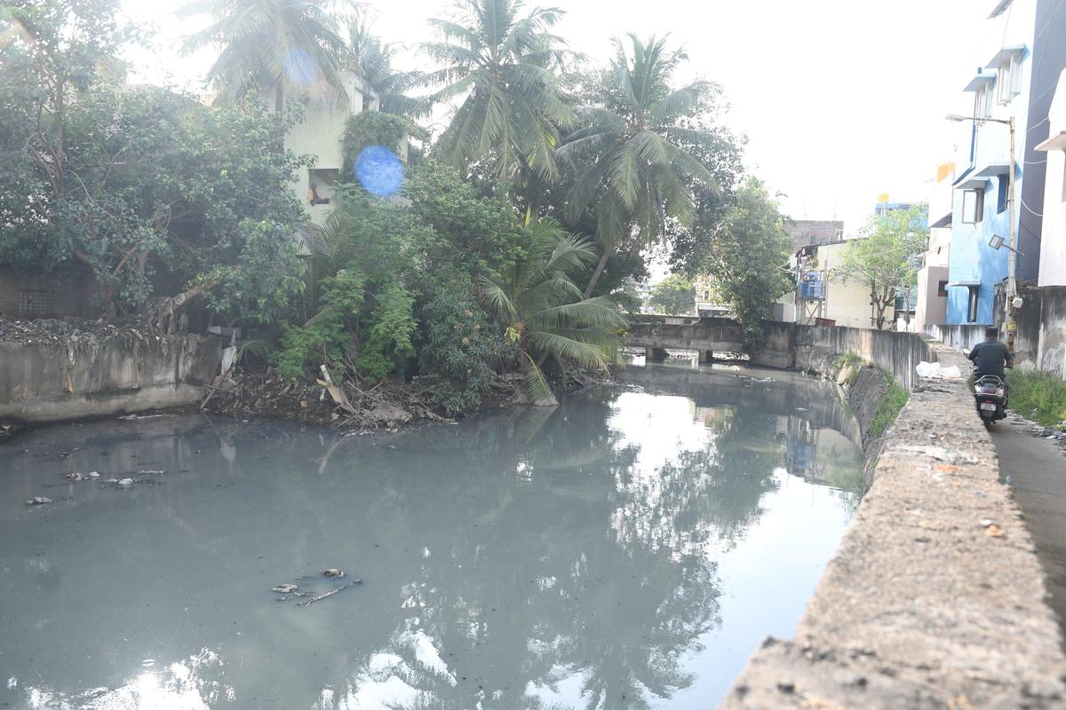 Water Resources Department begins demarcation of Virugambakkam- Arumbakkam canal boundary