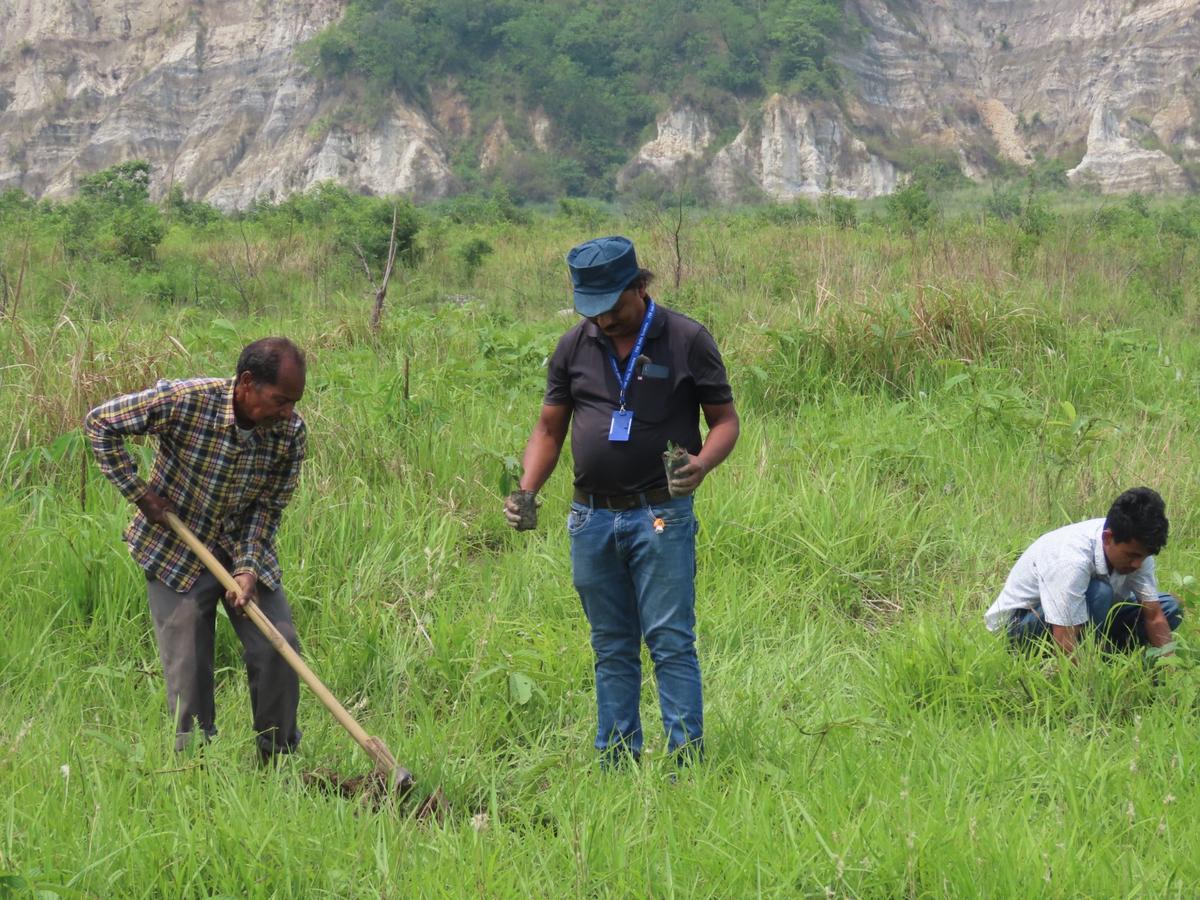 Members of the biodiversity conservation group Aaranyak and a local joint forest management committee are planting saplings to replenish a degraded forest in Assam’s Udalguri district bordering Bhutan. Members of the biodiversity conservation group Aaranyak and a local joint forest management committee are planting saplings to replenish a degraded forest in Assam’s Udalguri district bordering Bhutan.