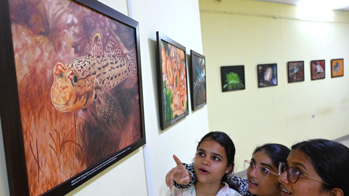 Intertidal wonders: Vizag’s coastal life comes alive on canvas