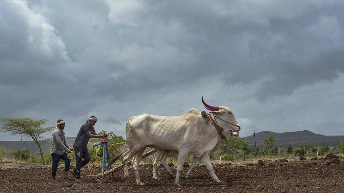 Maharashtra Cabinet clears farm loan waiver; 56 lakh farmers to benefit