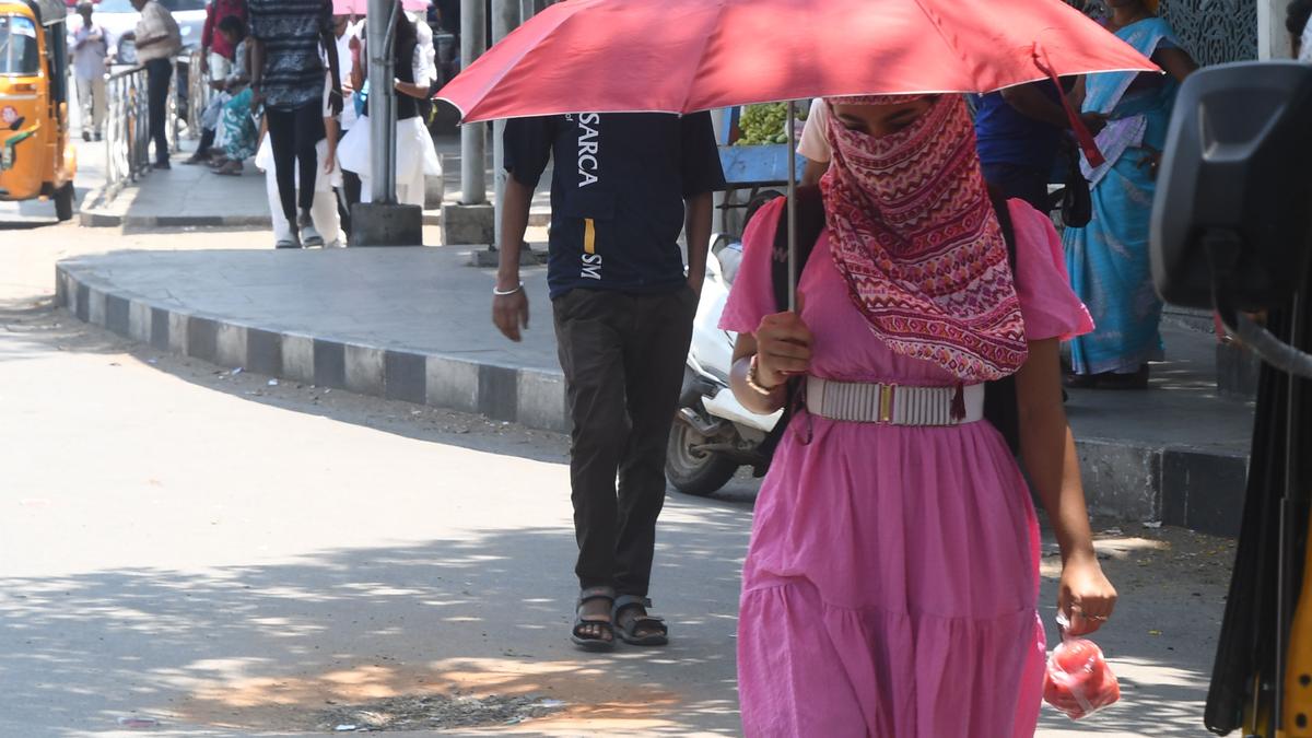 Meet Chennai researchers who study heat stress
