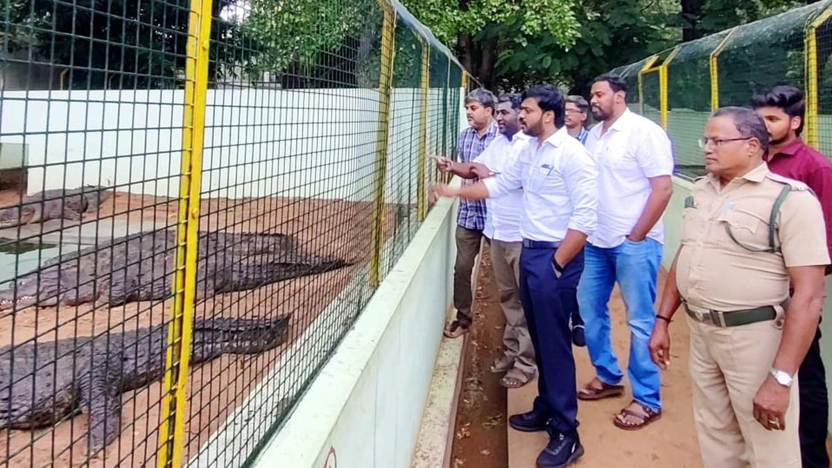 More tourist-friendly facilities in the offing at Amaravathi Crocodile Farm in Tiruppur
