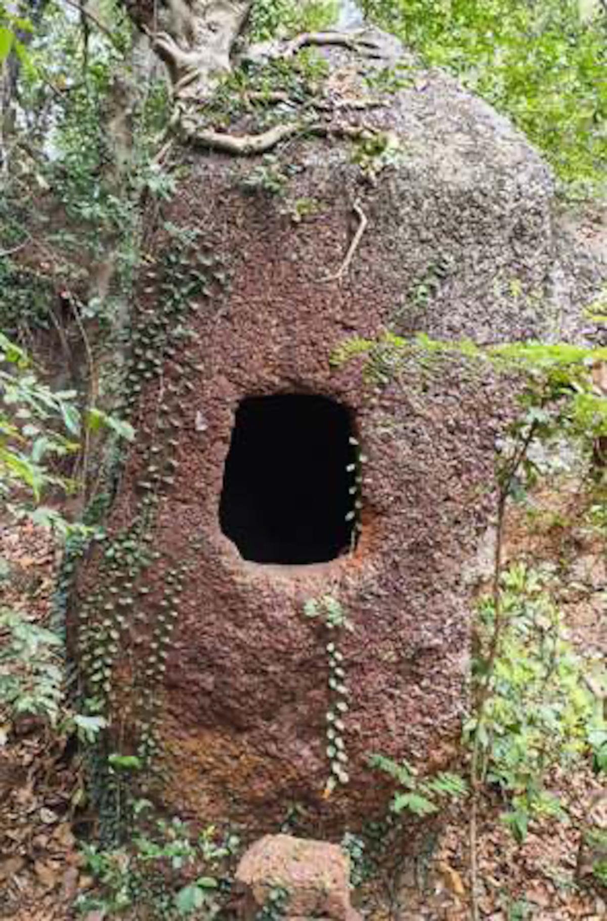 One among a group of caves found during a recent archaeological exploration at Kadri in Mangaluru. 