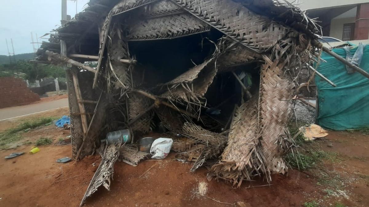 Narrow escape for construction workers as elephants damage shed near Coimbatore