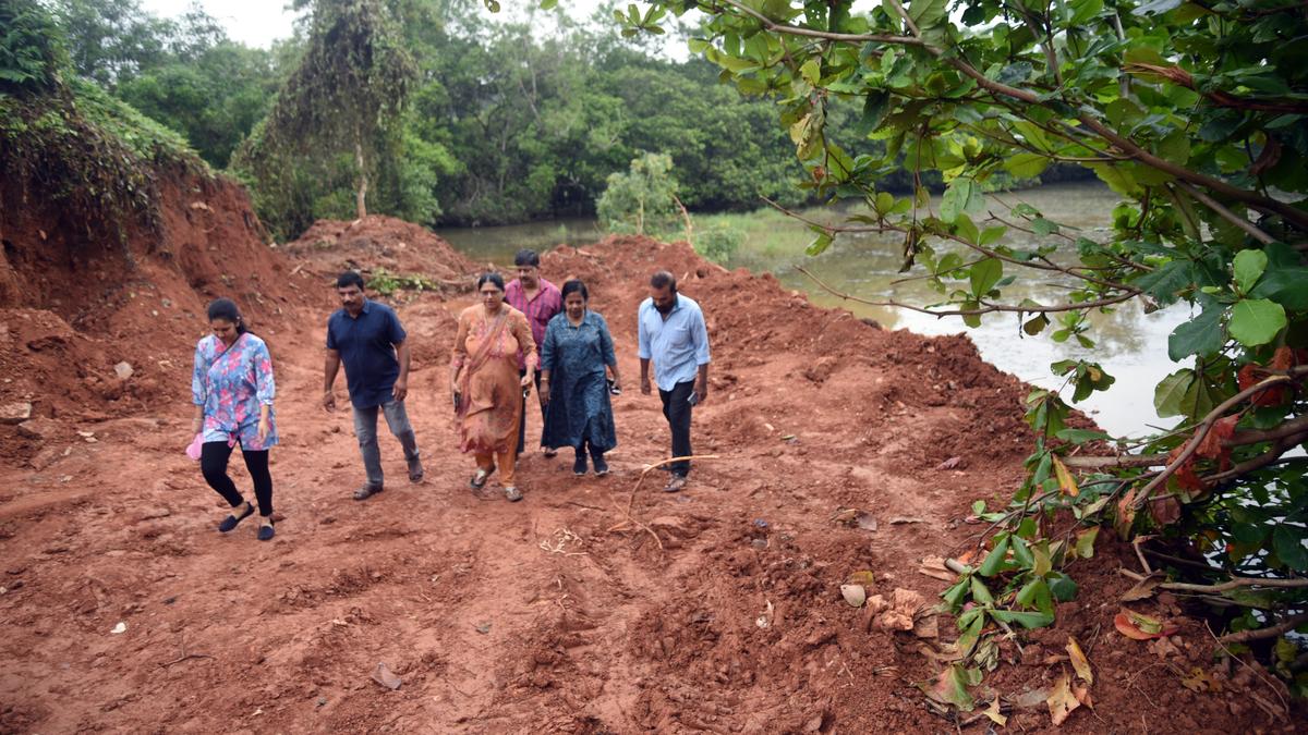 Action sought to halt encroachment on Kottooly wetlands