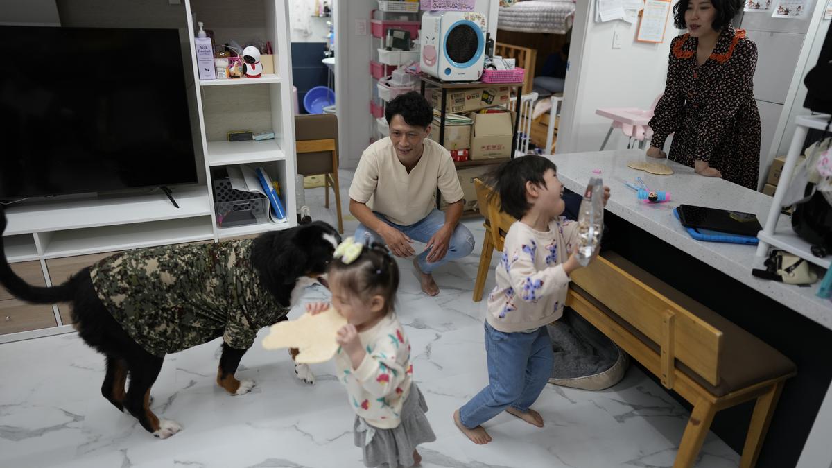 South Korea in demographic crisis as many stop having babies The Hindu