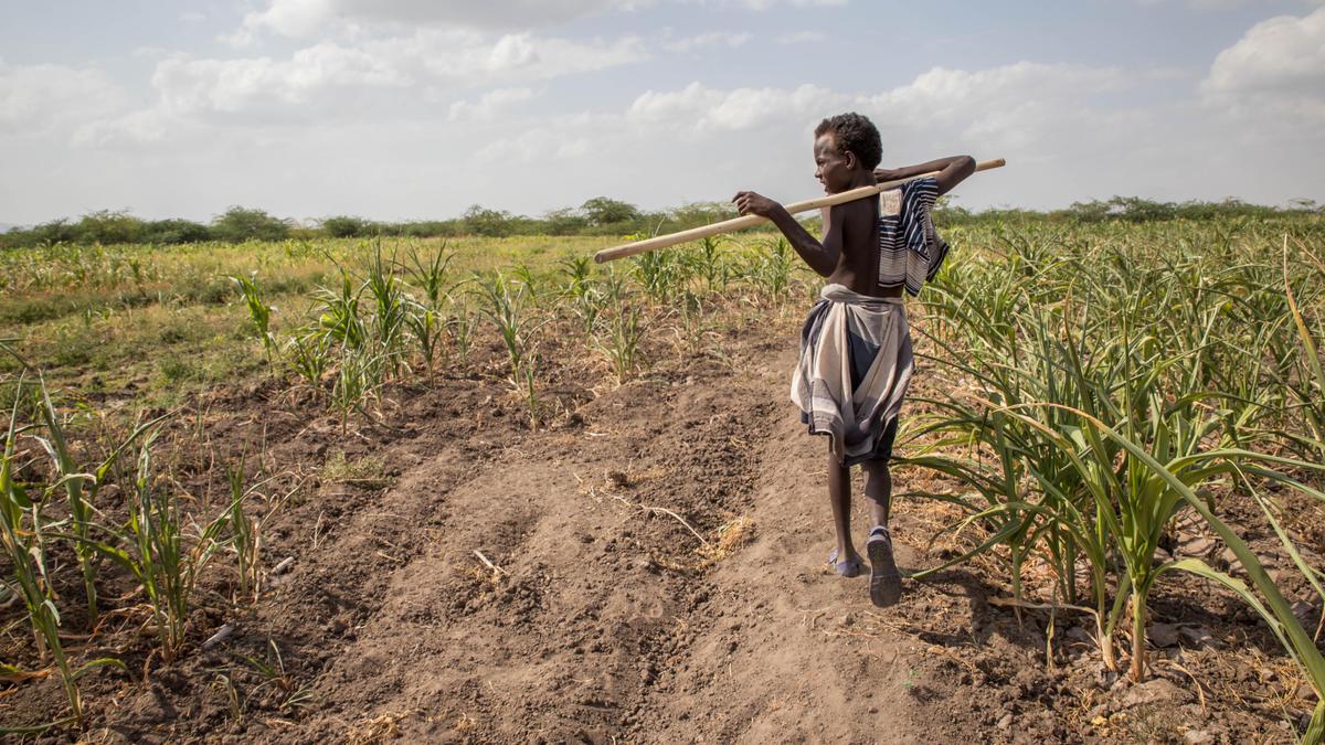 Food shock: Crop-battering disasters highlight climate threat