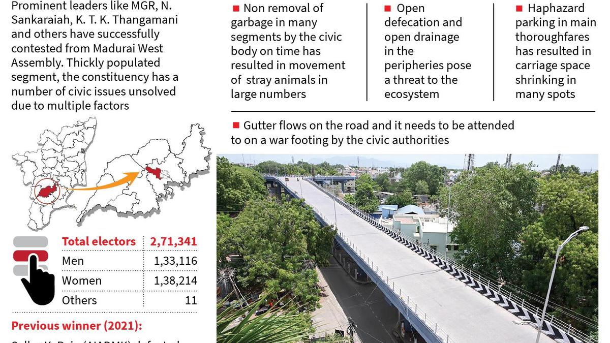 Madurai West constituency has serious, series of civic issues