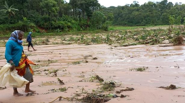 Coffee plantations covered by heaps of soil at Donigal