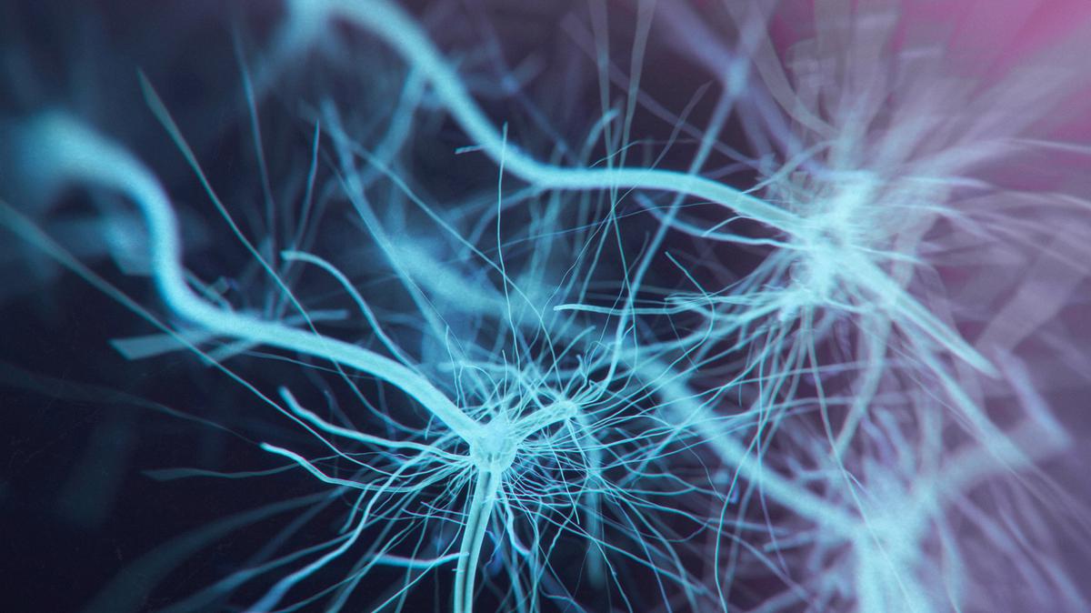 how-lost-connections-between-brain-cells-may-explain-long-covid