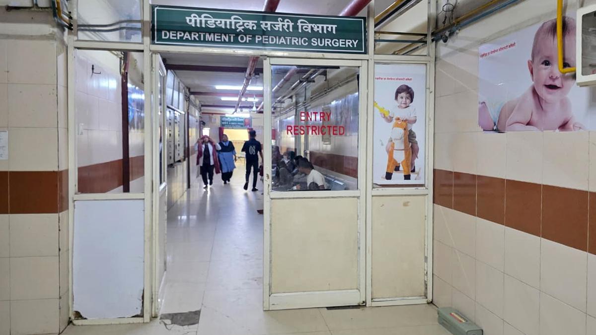 Outrage over infant deaths in Indore | In India’s cleanest city, rats in a hospital