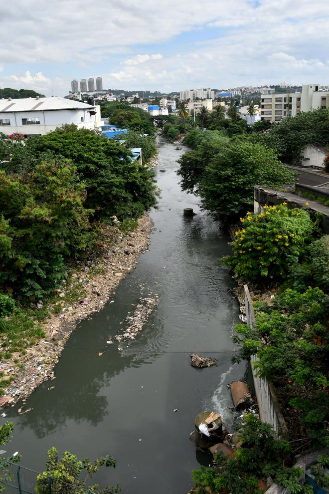 Quick flow: The Vrishabhavathi seen from Nayandahalli in Bengaluru.
