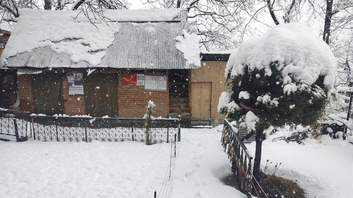 Fresh Snowfall Blankets Kashmir Valley on March 15th, 2025