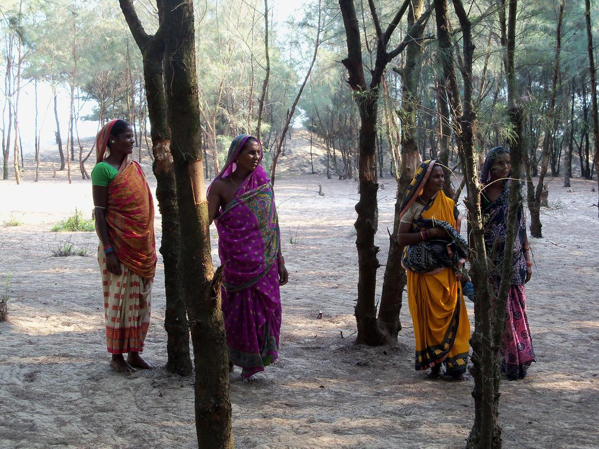 File photo of women-folks protecting the forest outside their village, Daluakandi under Astaranga block in Puri district.