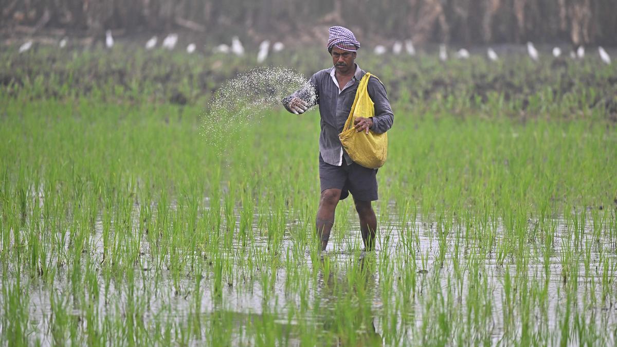 Provide clarity and announce proper guidelines on Annadata Sukhibhava scheme: A.P. Tenant Farmers Association