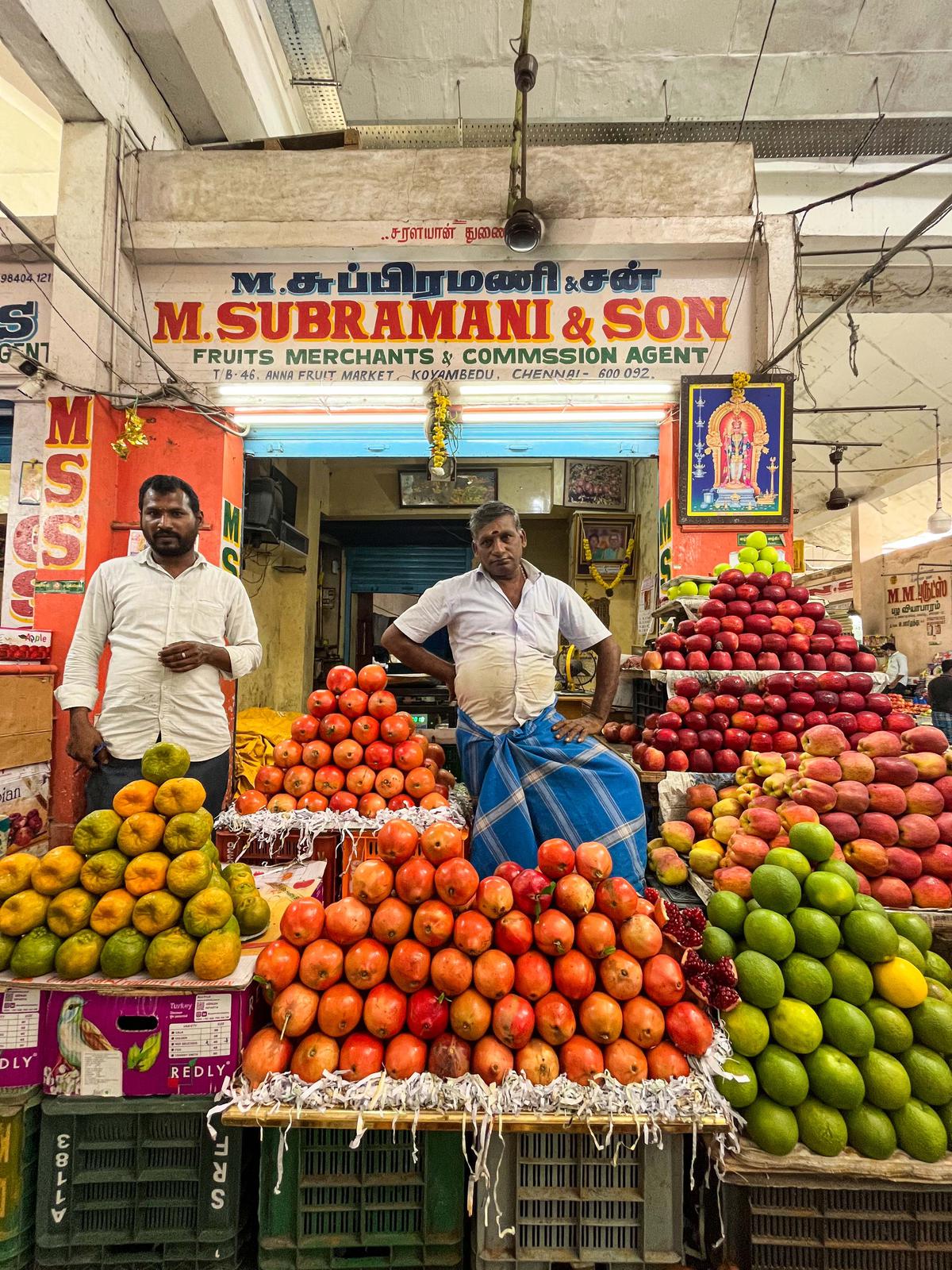 The Friendly Cat Next Door And His Story The Hindu   Shotby Anusha 