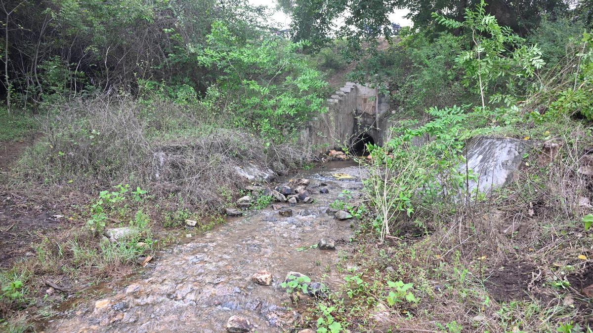 Plea seeks implementation of Pandiyar-Moyar water diversion project