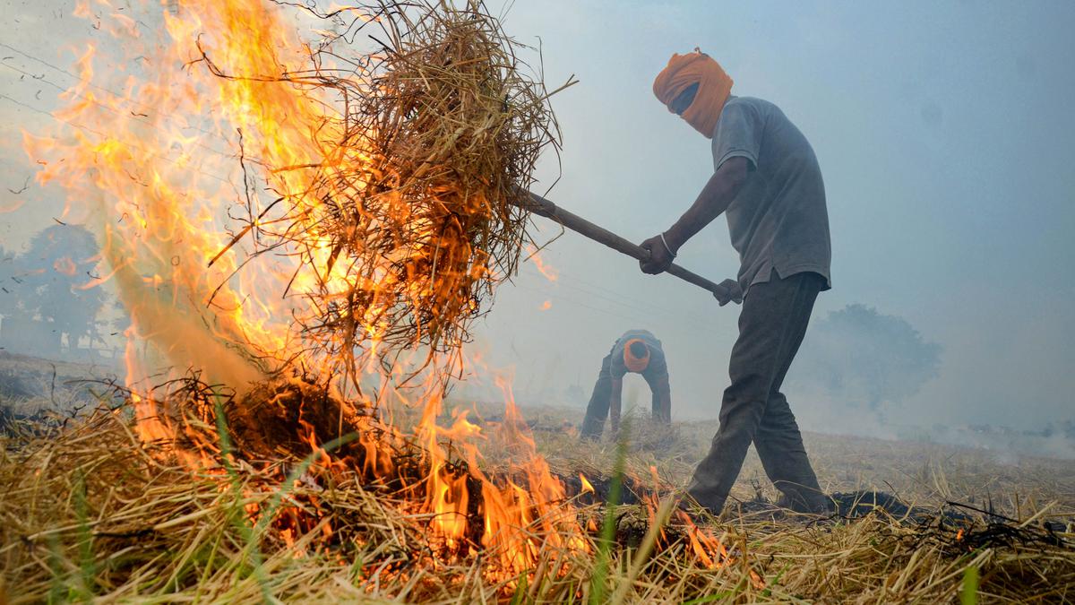 Indian Agricultural Research Institute says stubble burning in Punjab is at three-year low; Uttar Pradesh records rise