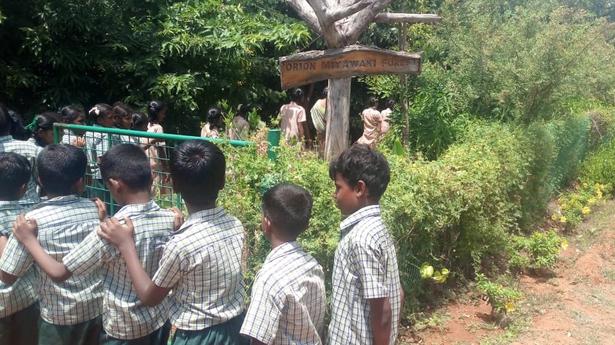 Miyawaki forest on NIT-T campus attracts school students 