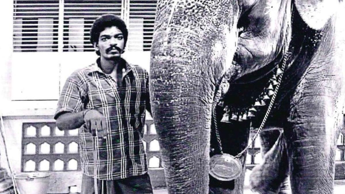 Kanchi Kamakoti Peetam moves Madras High Court to take back its elephants