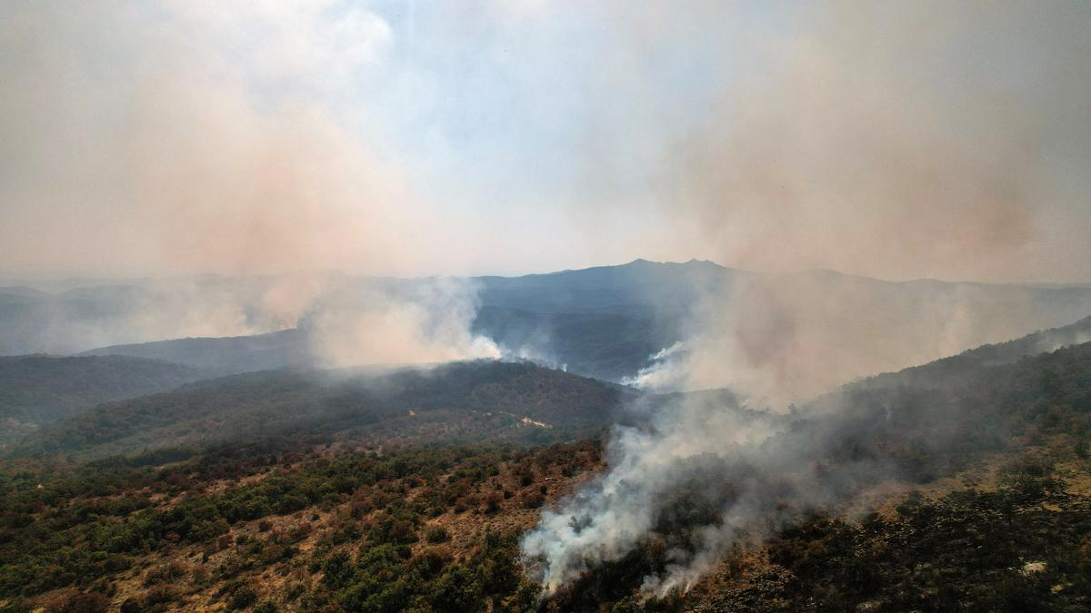 Greece wildfire scorches area bigger than New York City