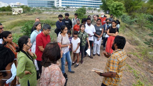A walk through Pallikaranai marsh, the city&rsquo;s last wetland