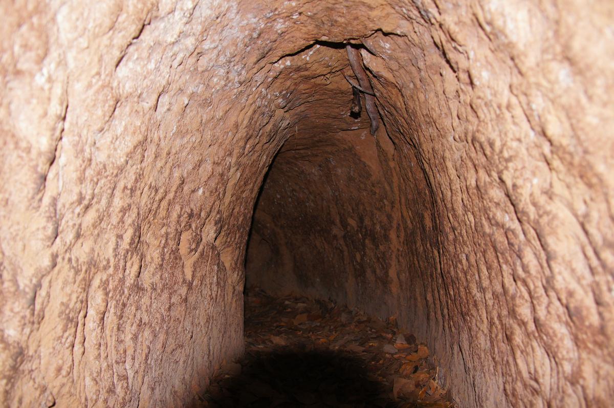 Part of an original tunnel at Cu Chi, unchanged except a chemical (petrol, according to the tour guide, although it didn’t smell like it) is sprayed inside to kill insects. There is a bat hanging from the roof of the tunnel.