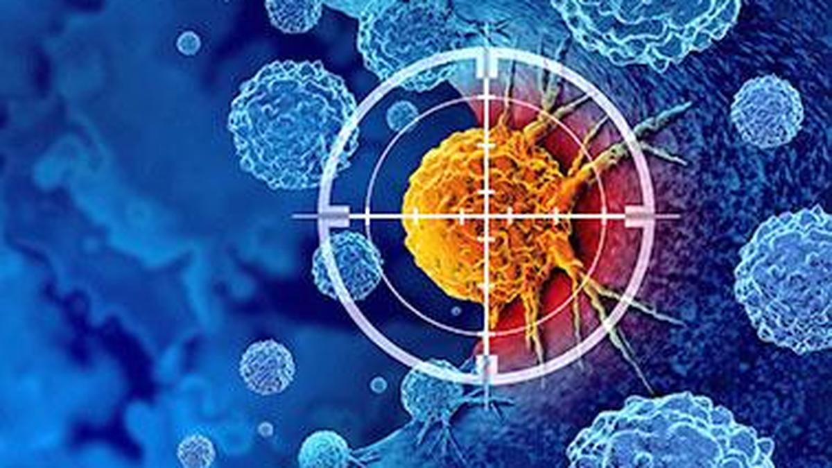 Study by Indian researchers finds that body’s immune cells ‘betray’ it to help breast cancer spread