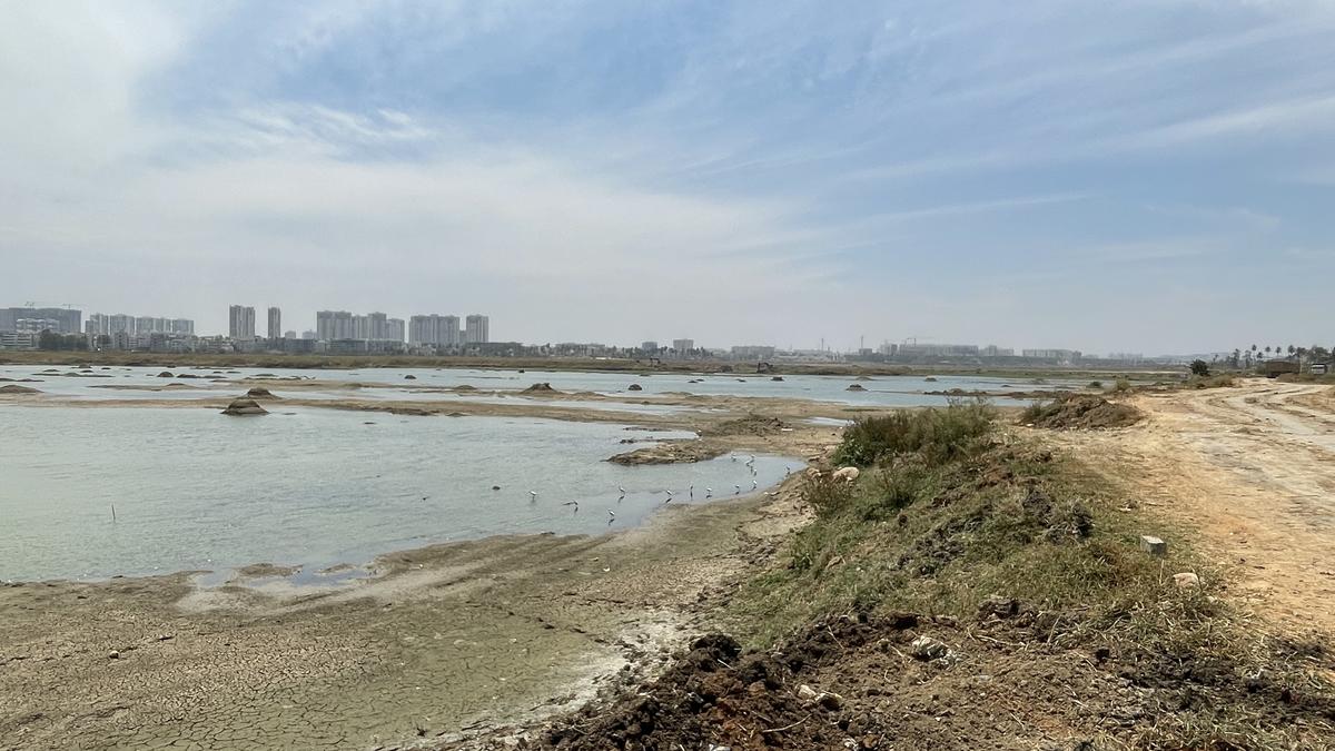 BWSSB proposes community rainwater harvesting to fill lakes in Bengaluru