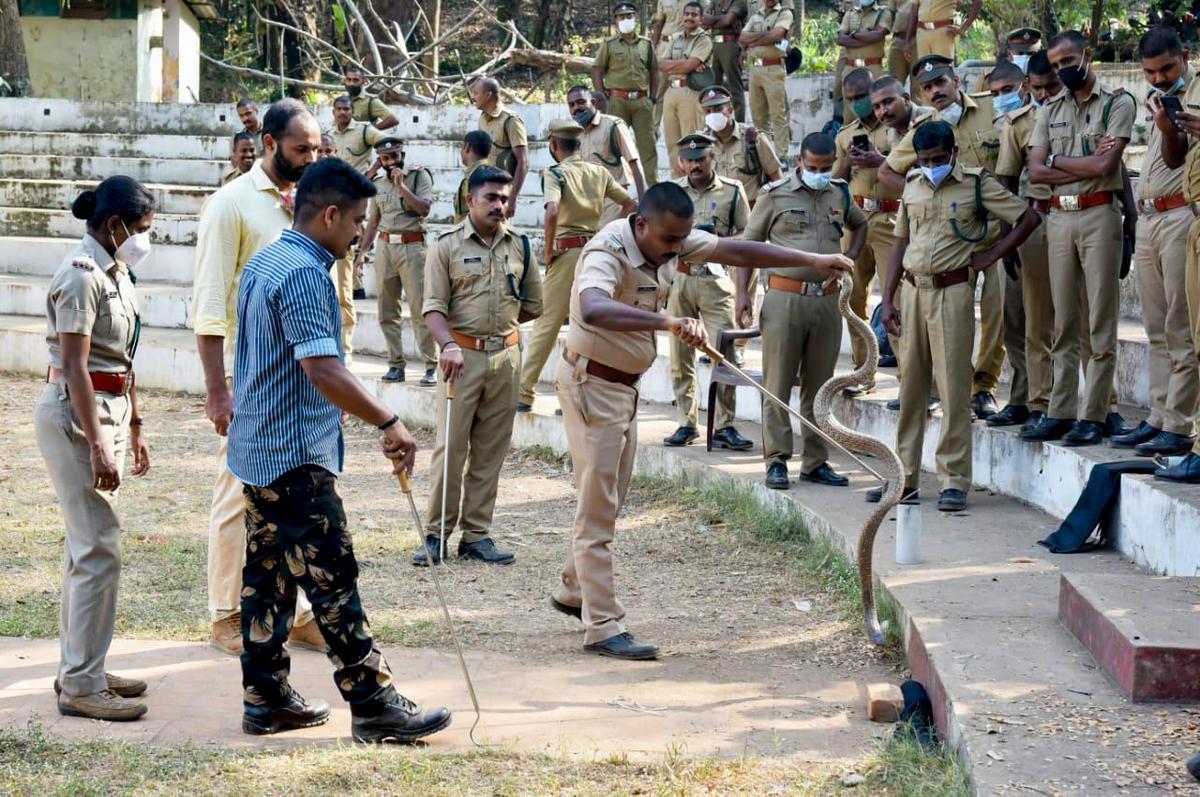 Snake rescuers undergo training during a workshop held in Thiruvananthapuram in 2023. 