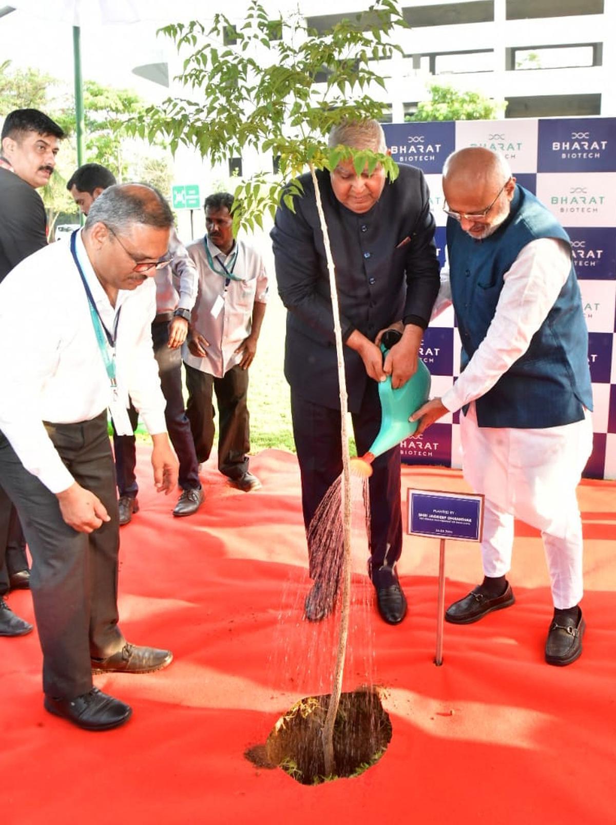 Vice-President Jagdeep Dhankhar and Governor C.P. Radhakrishnan planting a sapling at Bharat Biotech Campus, in Genome Valley, Hyderabad, on Friday. 