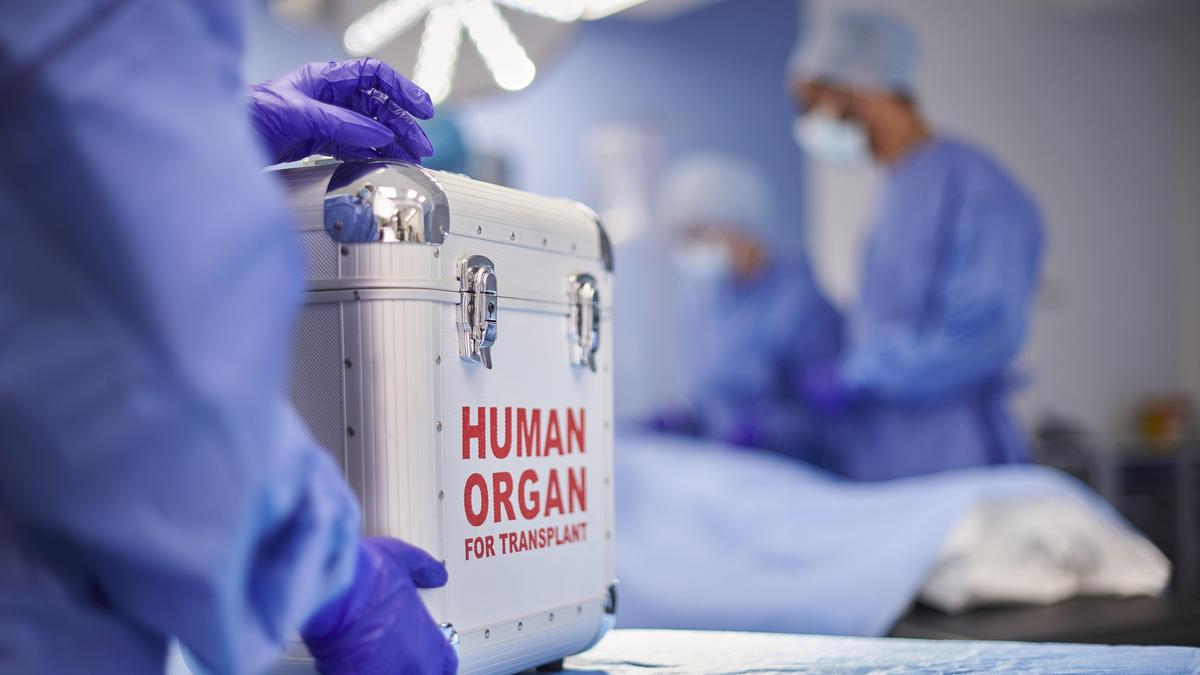 Maternity need not be proved through DNA test before donating kidney to child: Madras High Court