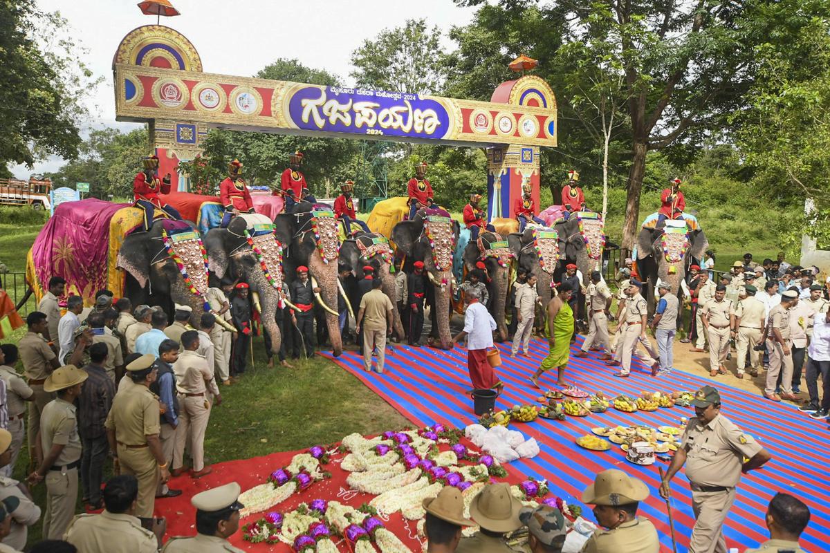 The Gajapayana (procession of elephants) of the first batch of Dasara elephants to Mysuru being flagged off amidst a traditional ceremony at Veeranahosahalli gate in Nagarahole Tiger Reserve on Wednesday..