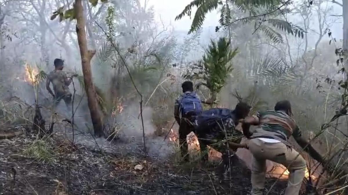 Inter-State coordination, preventive measures to prevent wildfire in Coimbatore division