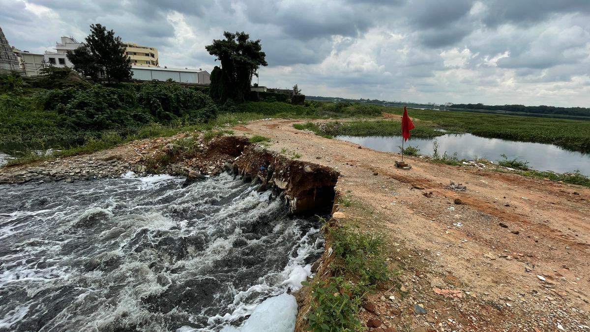 Lack of desilting compromises water-holding capacity of lakes, leading to floods