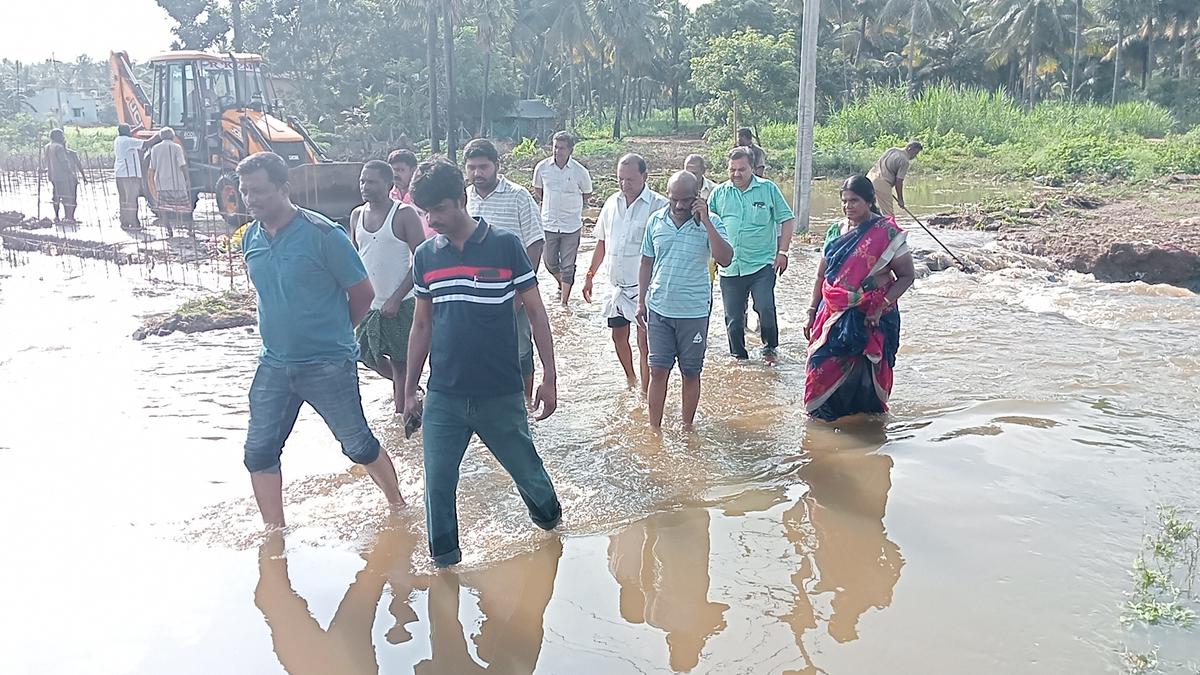 Namakkal Collector inspects rain-hit areas in Tiruchengode Municipality
