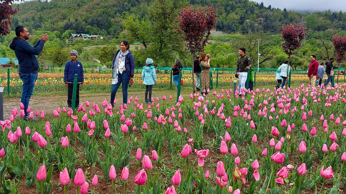 J&K will host record 2 crore tourists this year: L-G