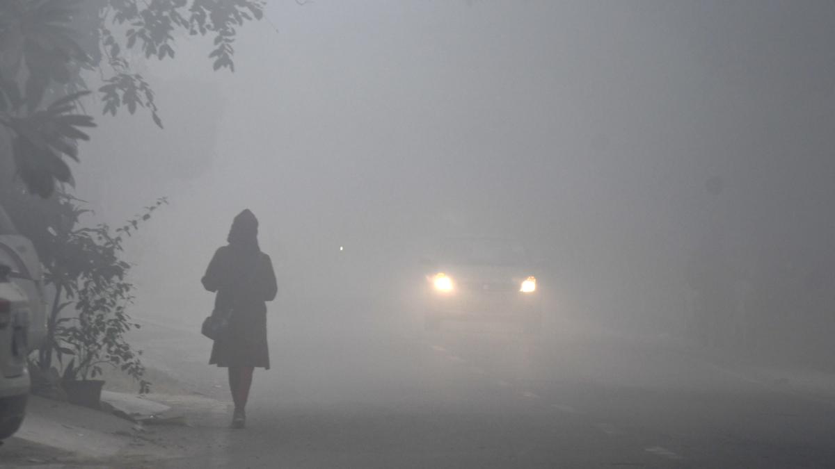 Dense fog engulfs Delhi, visibility falls below 25m