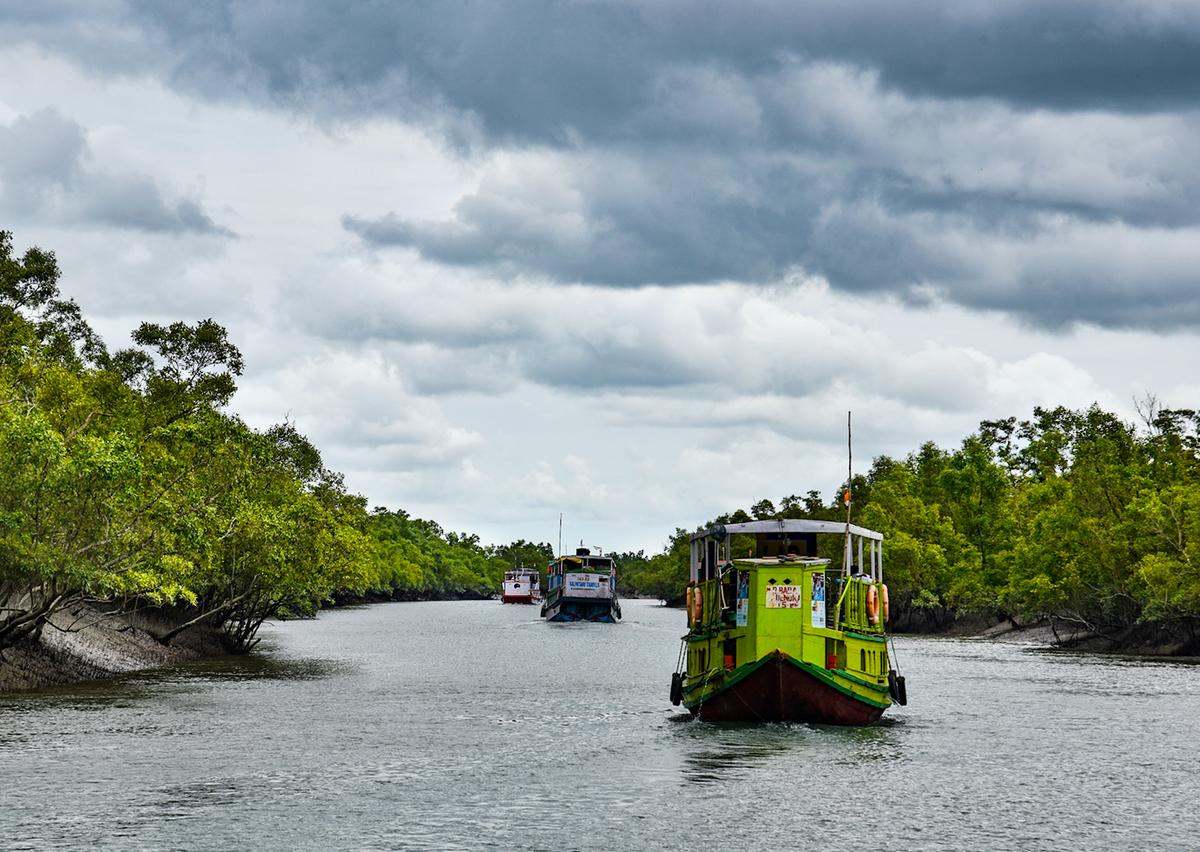 Tourist boats in the Sundarbans. Tourist boats in the Sundarbans.